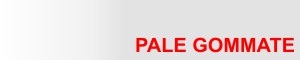 pale gommate HITACHI